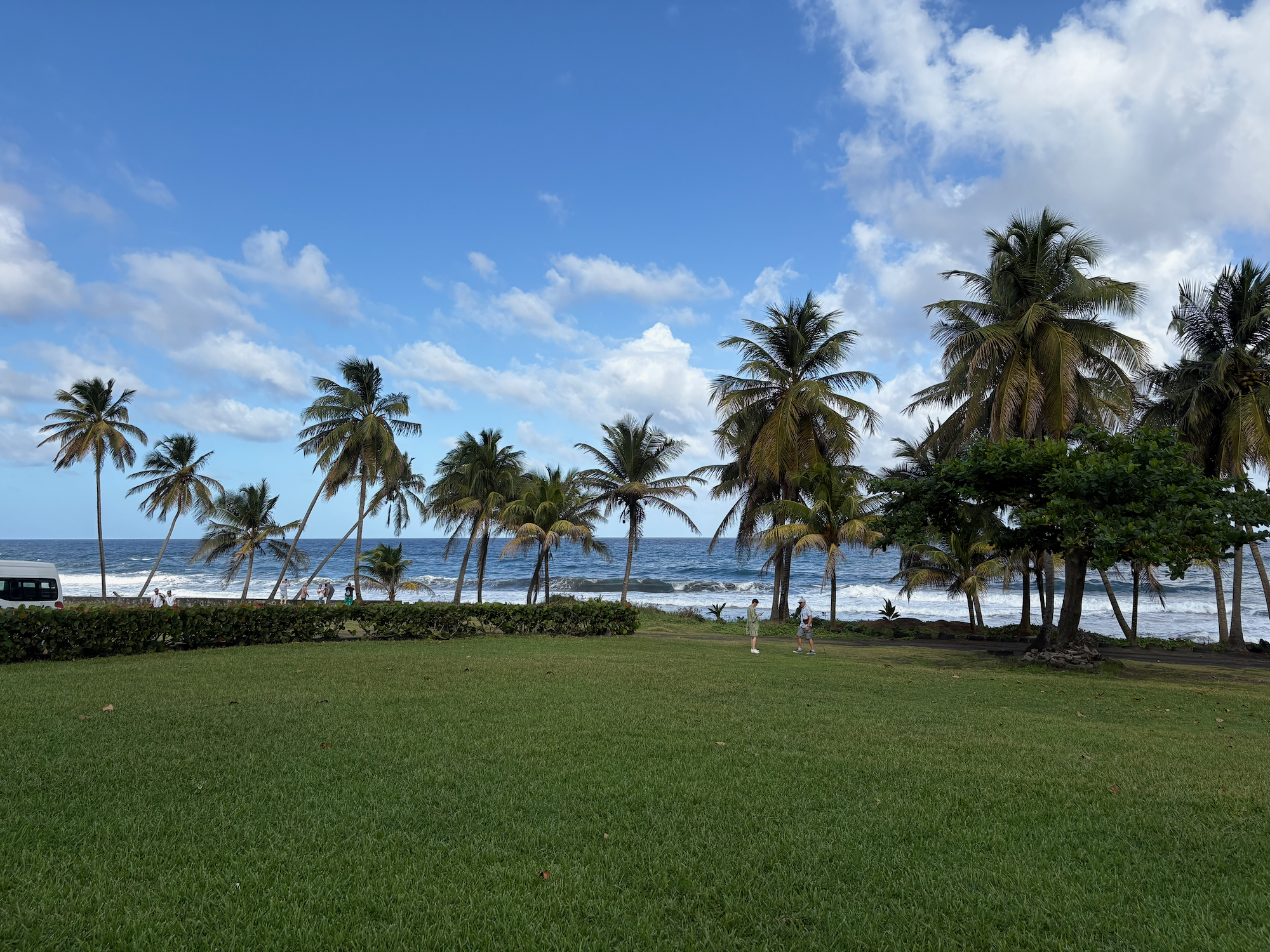 Palmen und Stand auf St. Vincent