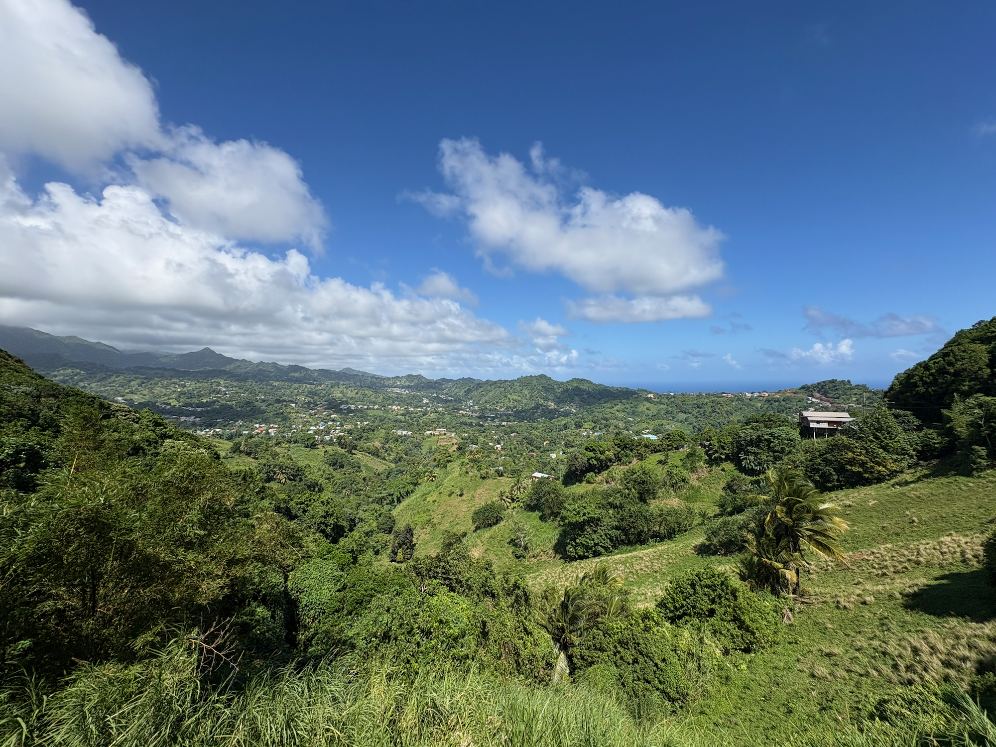 Der Regenwald von St. Vincent